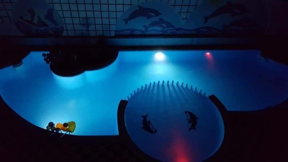 Apartman Eva Hurghada Bagian luar foto
